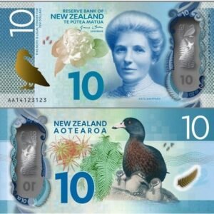 New Zealand 10 Dollar Banknote | Buy Quality NZD 10 Polymer Notes Online
